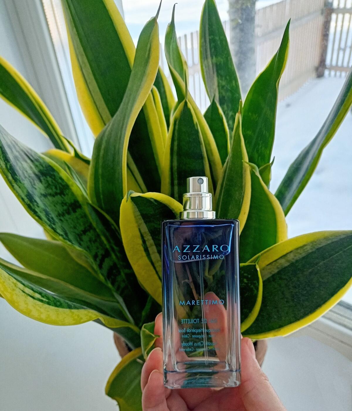 تصویر عطر سولاریسیمو مارتیمو آزارو