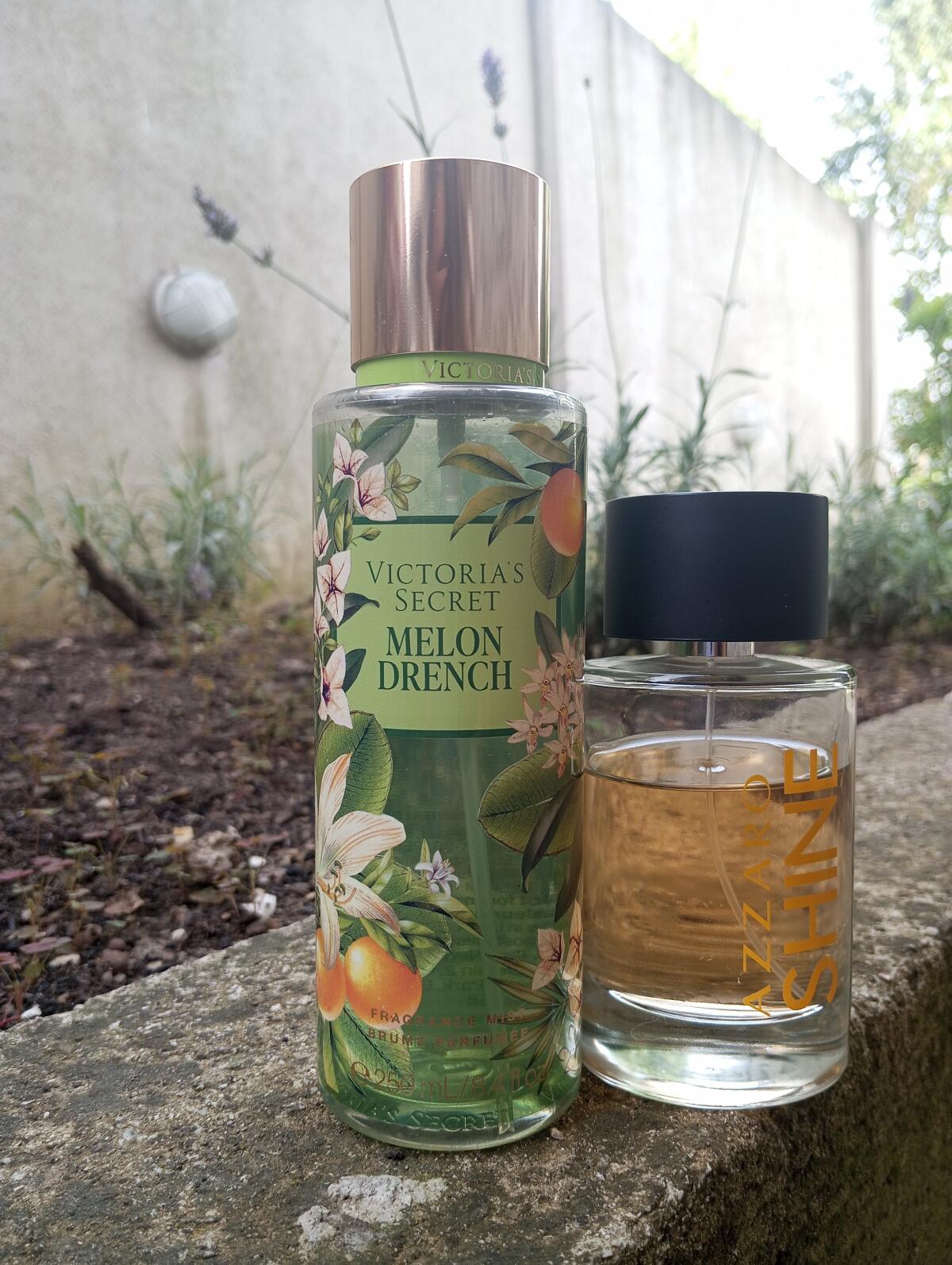 تصویر عطر شاین آزارو