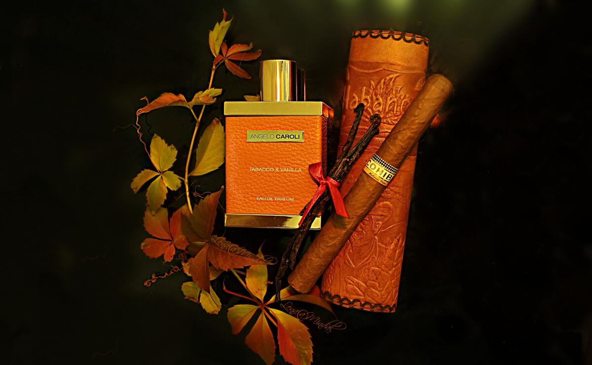 تصویر عطر توباکو اند وانیلا آنجلو کارولی