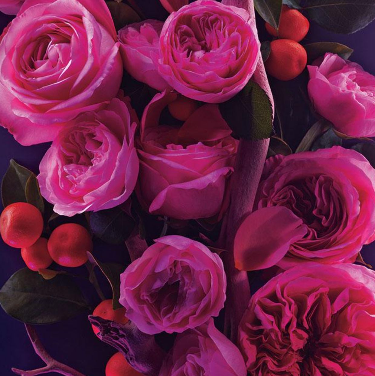 تصویر عطر هایکو سکرید اینتنس ایون