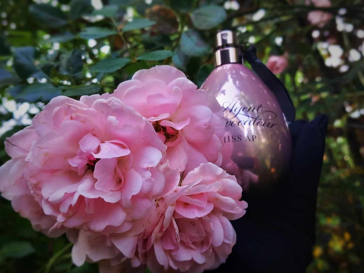 تصویر عطر میس اِی‌پی ایجنت پروواکتر