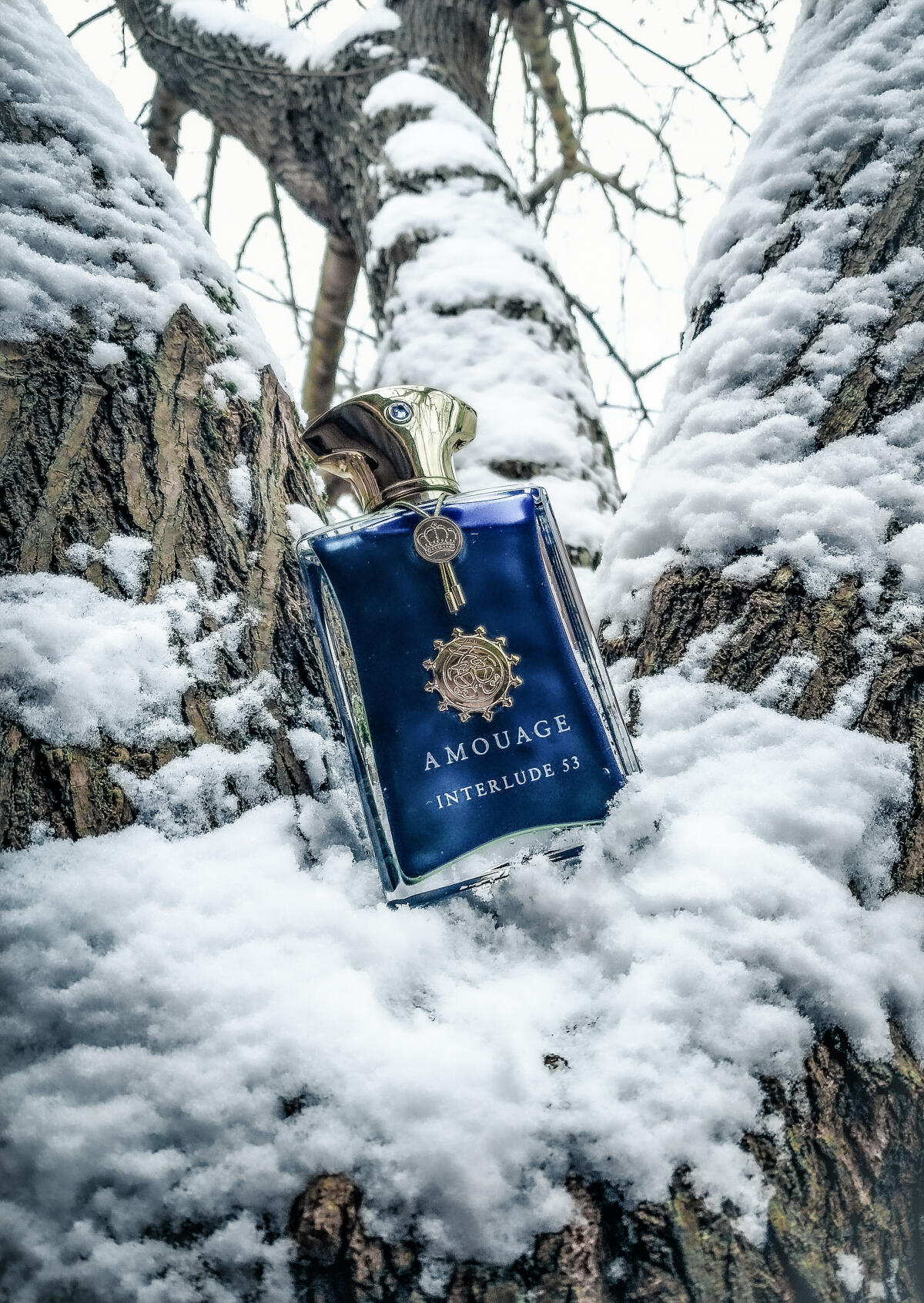 تصویر عطر اینترلود پنجاه‌وسه من آمواژ