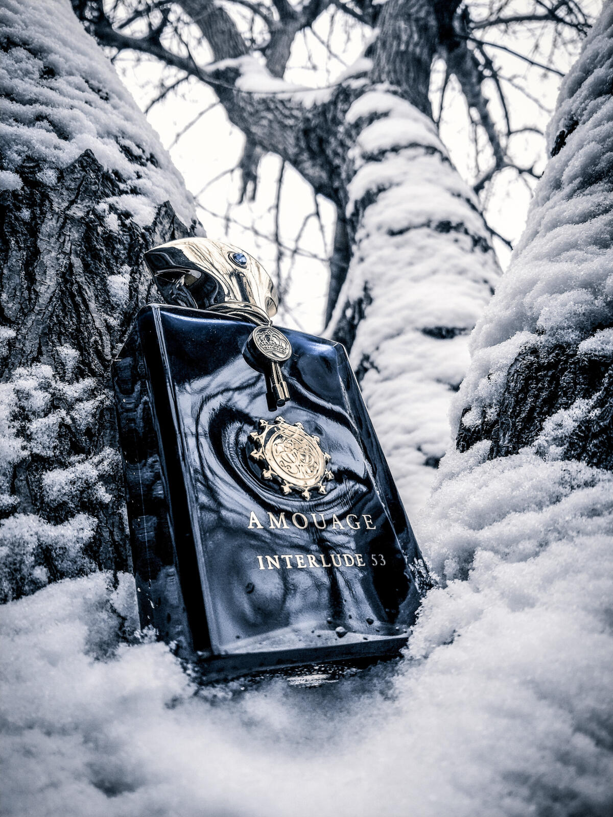 تصویر عطر اینترلود پنجاه‌وسه من آمواژ