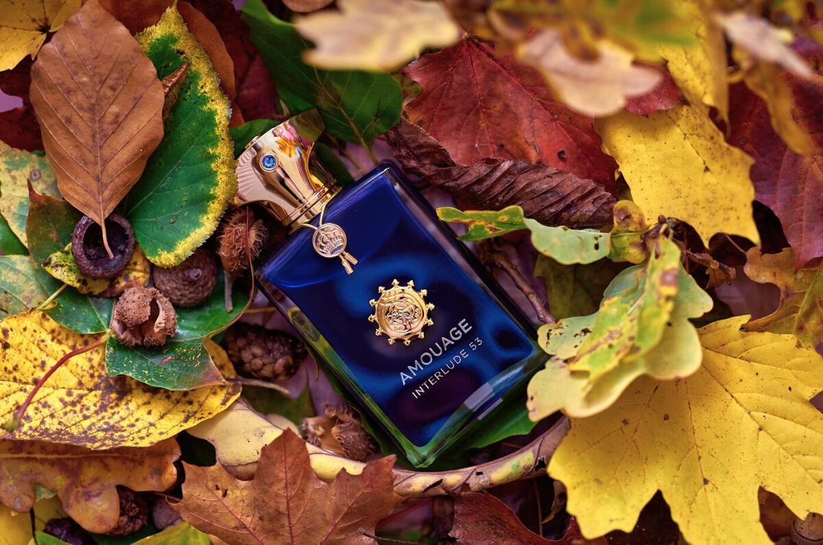 تصویر عطر اینترلود پنجاه‌وسه من آمواژ