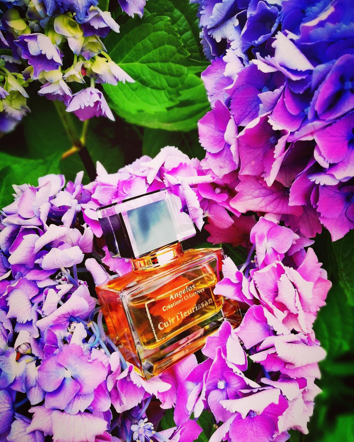 تصویر عطر کور فلوریسان آنگلوس کریاسیون اولفکتیو