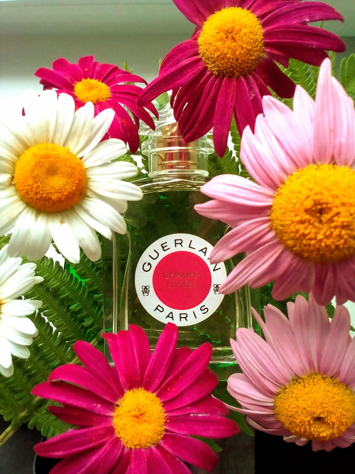 تصویر عطر شانزه‌لیزه او دو توالت گرلن