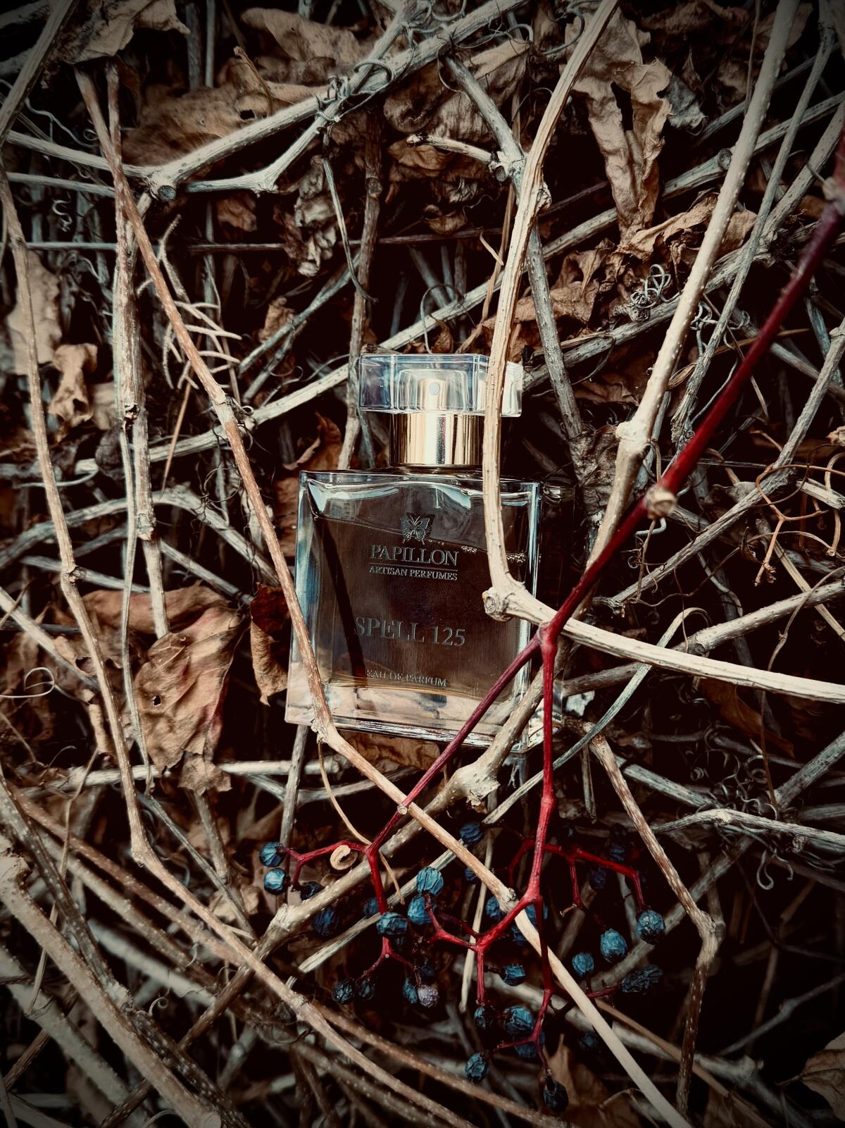 تصویر عطر اسپل صد و بیست و پنج پاپیون آرتیزان پرفیومز