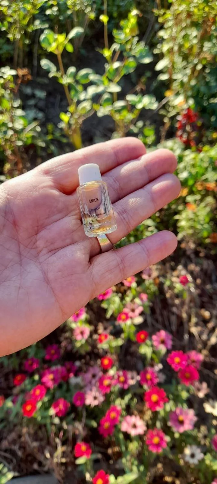 تصویر عطر امیلی پرفیوم فراگونار