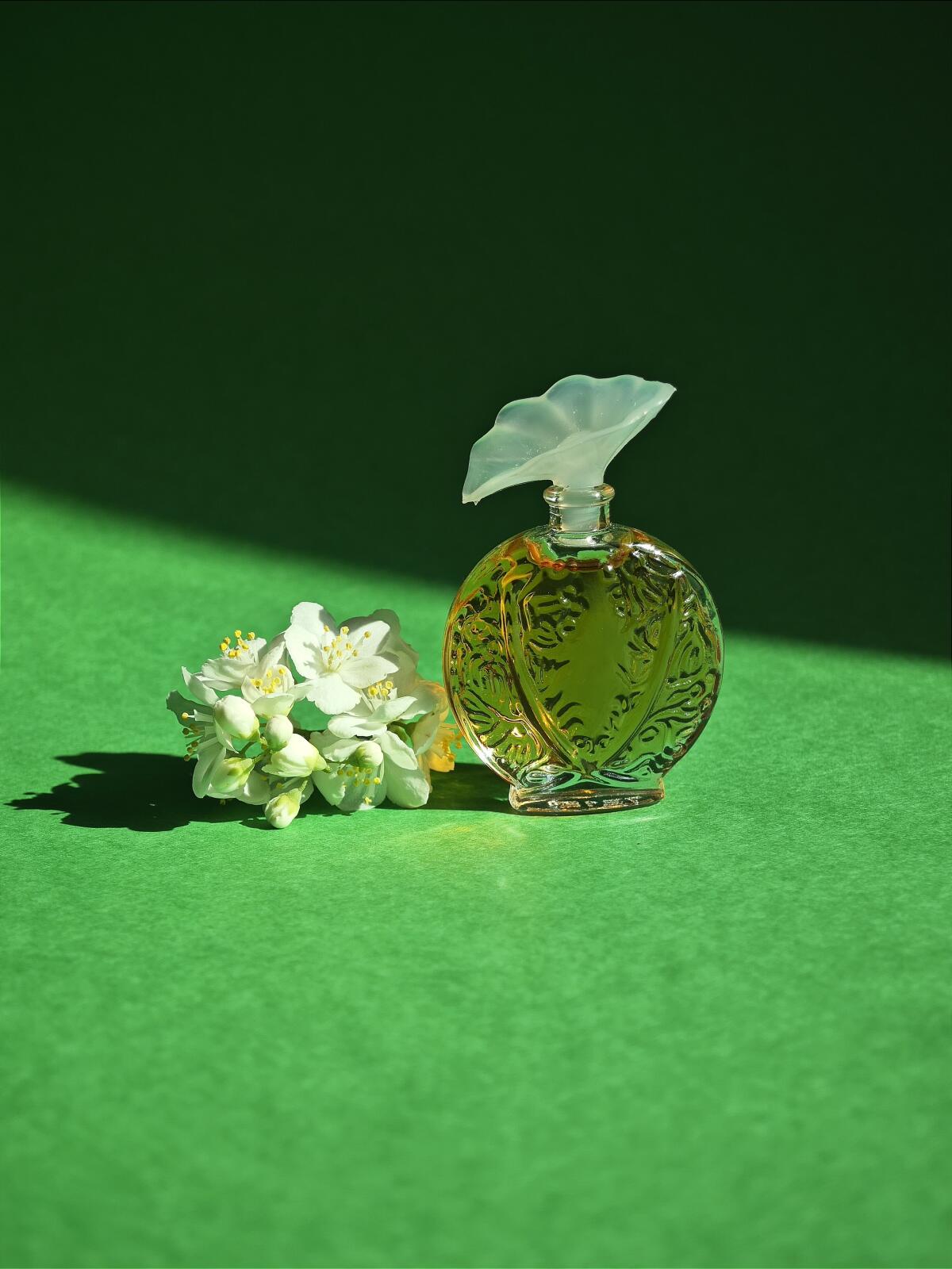 تصویر عطر هیسطور دَموغ اوبوسون