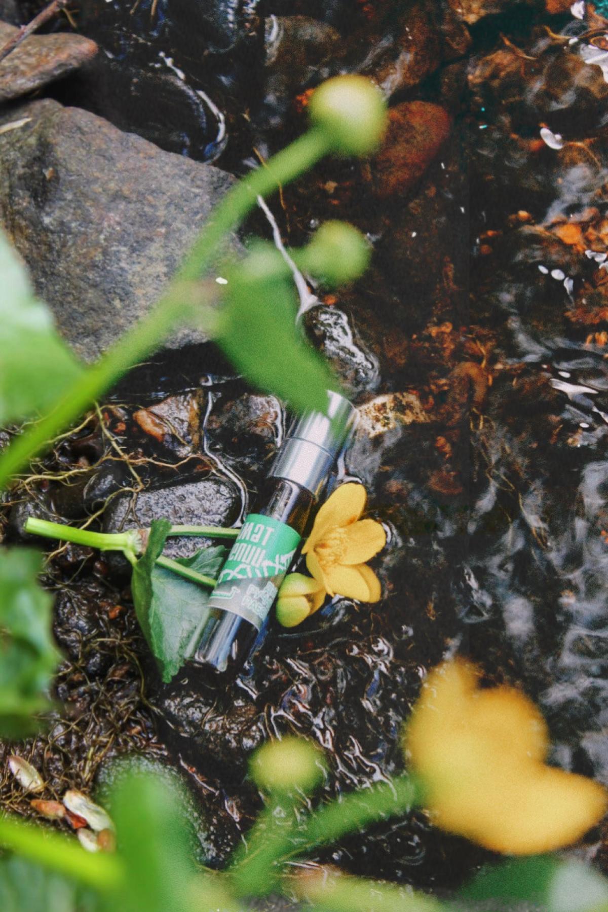 تصویر عطر آروما کارلیا گرین