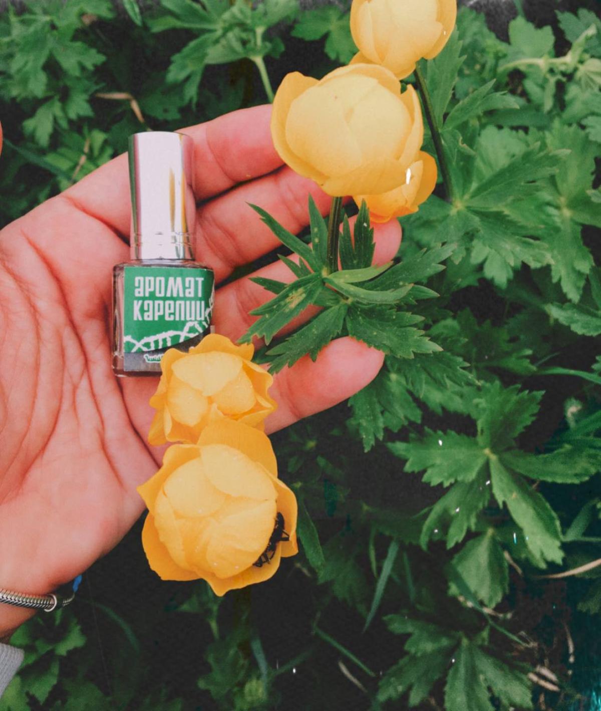 تصویر عطر آروما کارلیا گرین