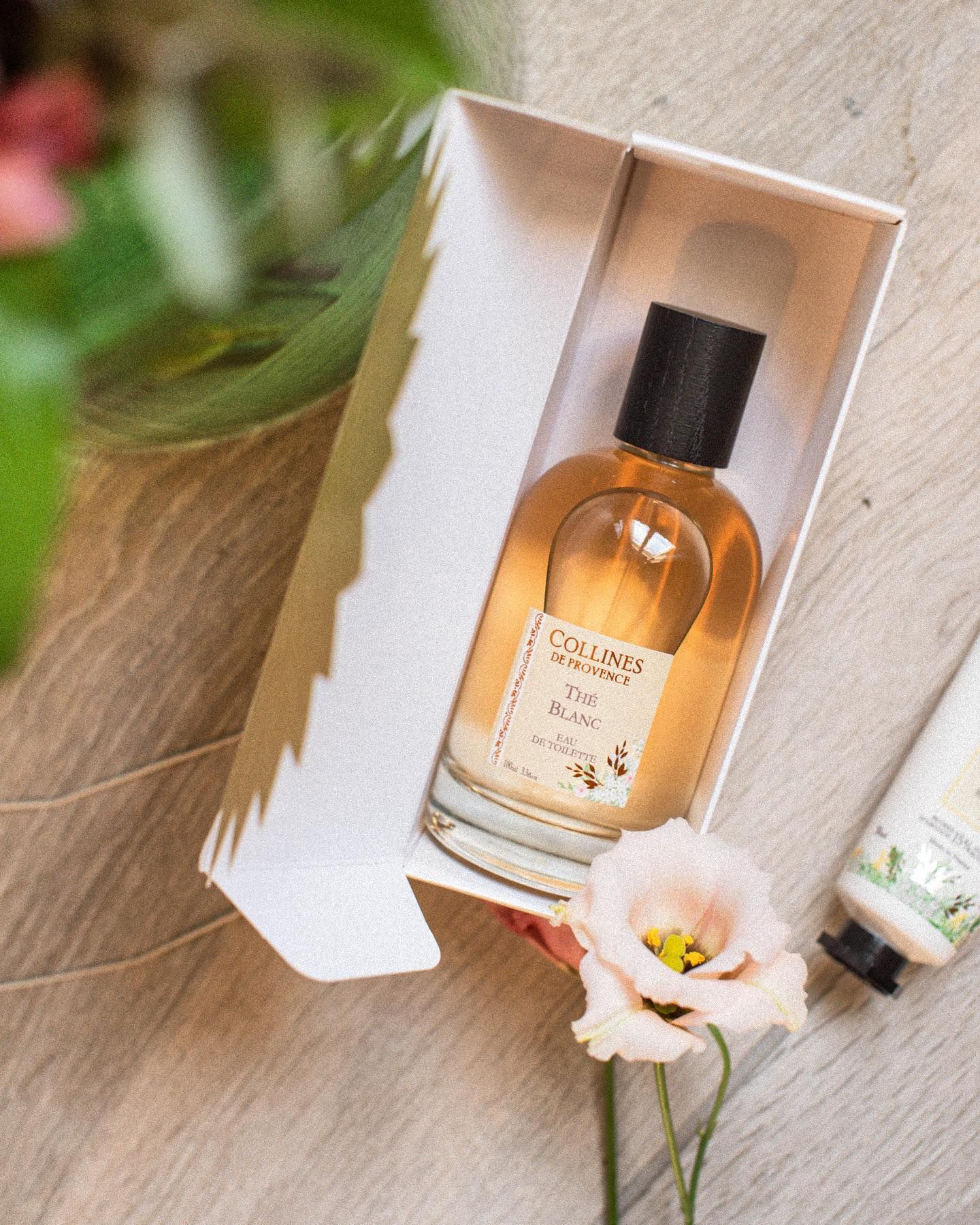 تصویر عطر ته بلانک کولین دو پرووانس