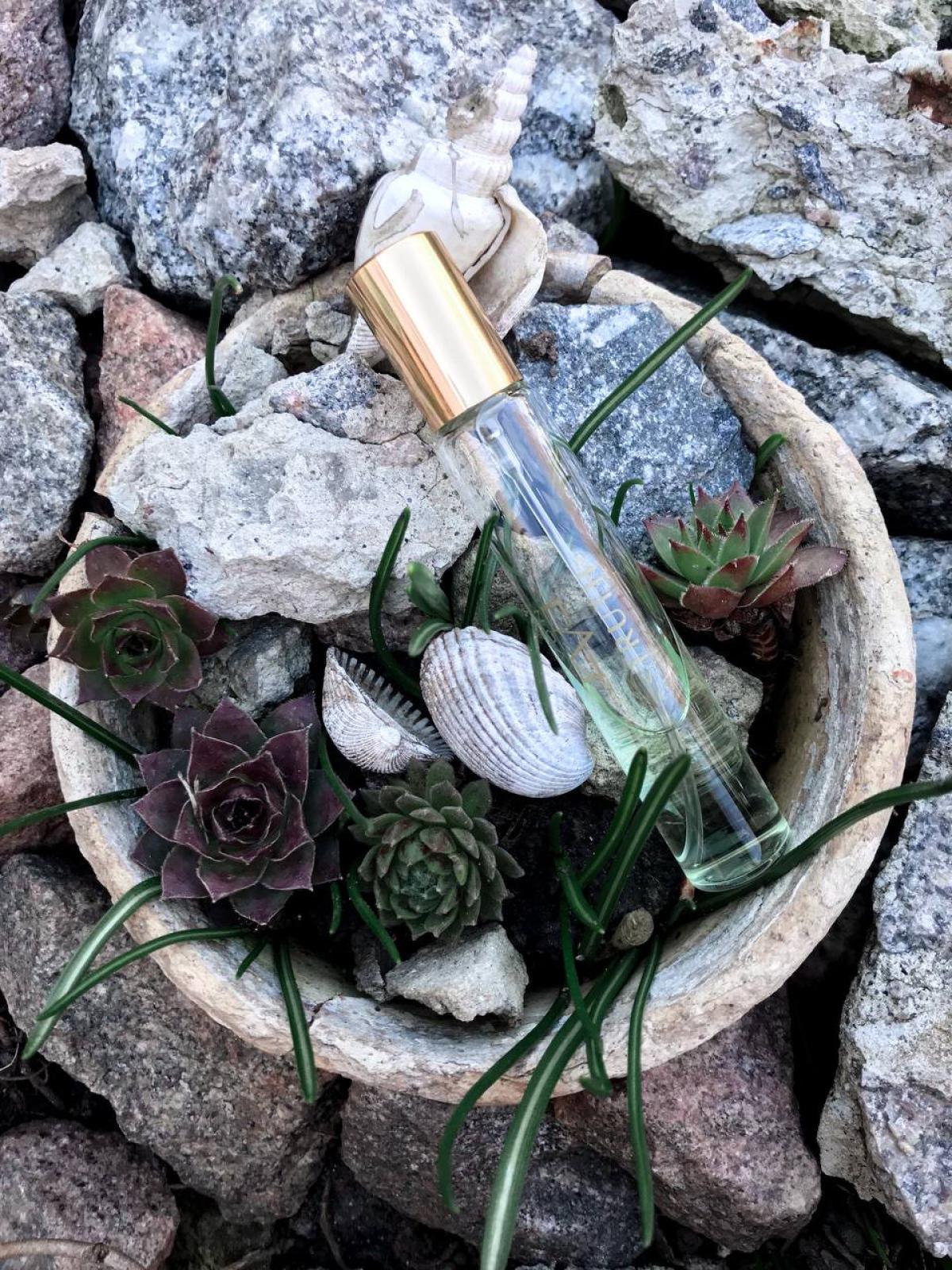 تصویر عطر ایو تروث ایون