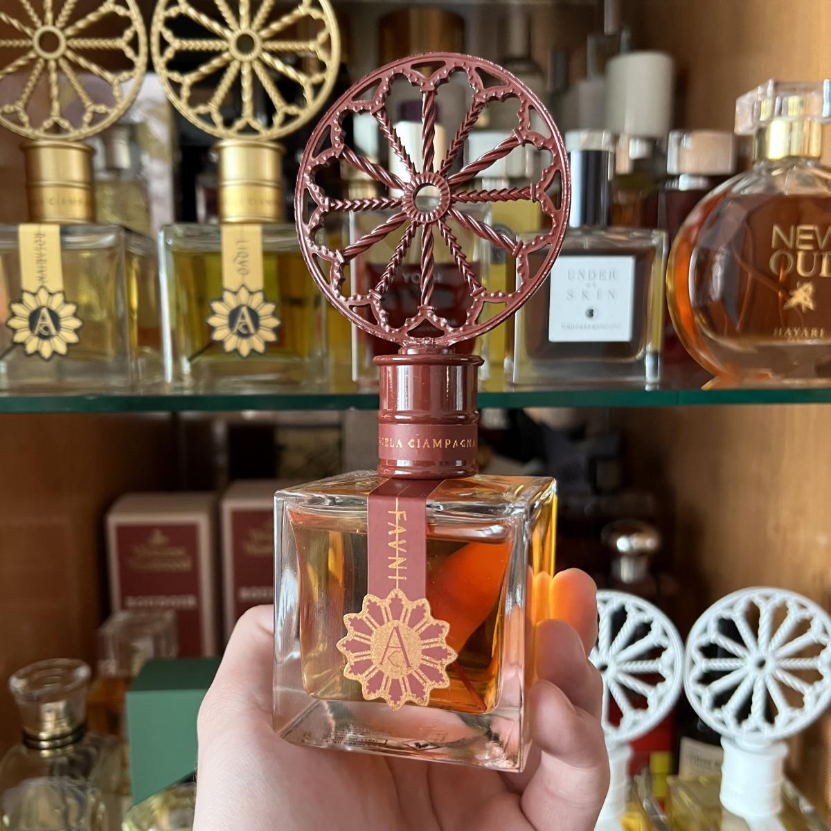 تصویر عطر فونی آنجلا چامپانیا