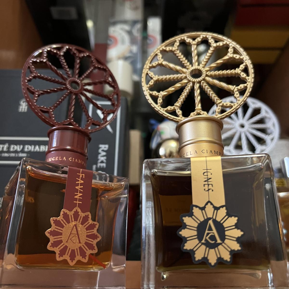 تصویر عطر فونی آنجلا چامپانیا