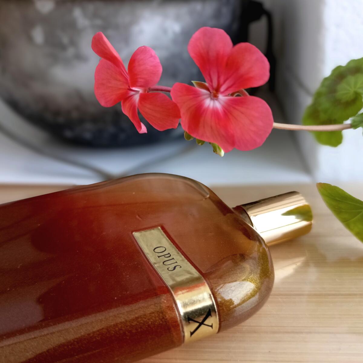 تصویر عطر دِ لایبرِری کالِکشن اُپوس ایکس آمواژ
