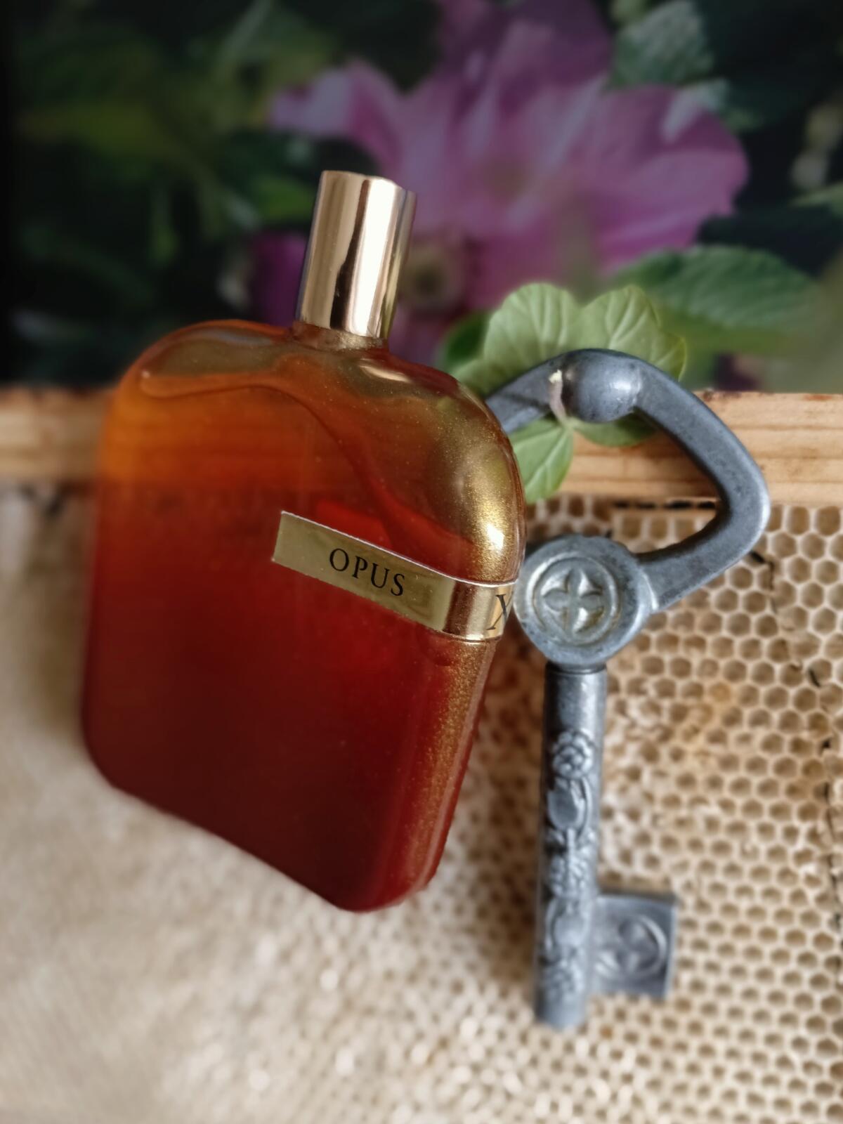 تصویر عطر دِ لایبرِری کالِکشن اُپوس ایکس آمواژ