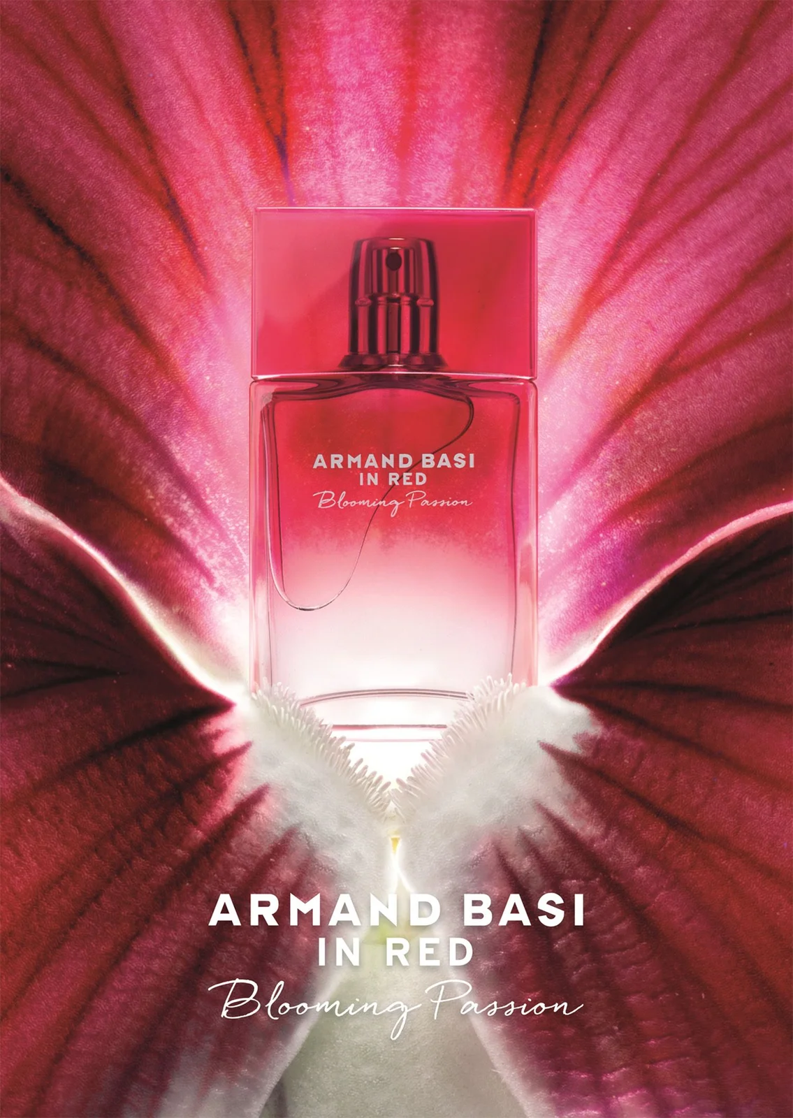 تصویر عطر این رد بلومینگ پشن آرماند باسی