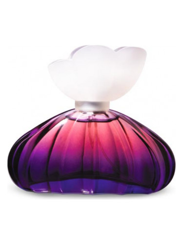 تصویر عطر فلورال میستری آبلیا راینیا