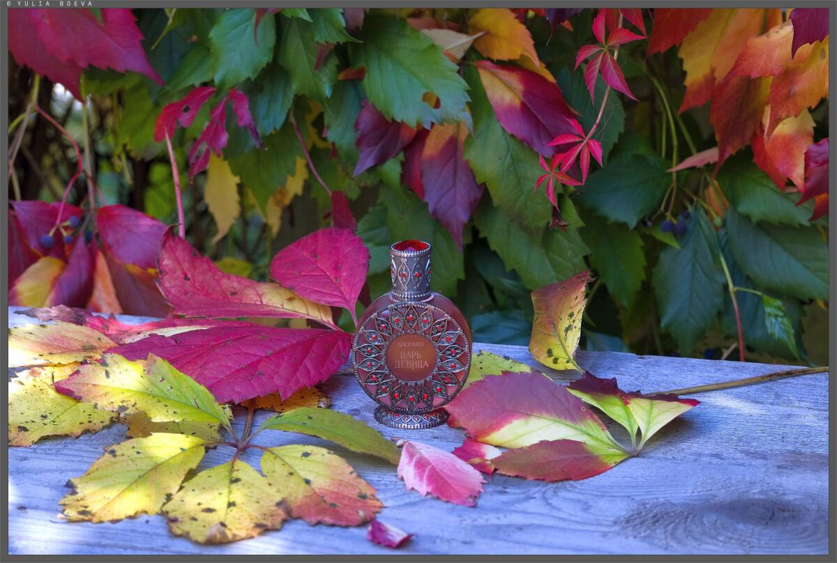 تصویر عطر د کینگ پرینسس بروکارد