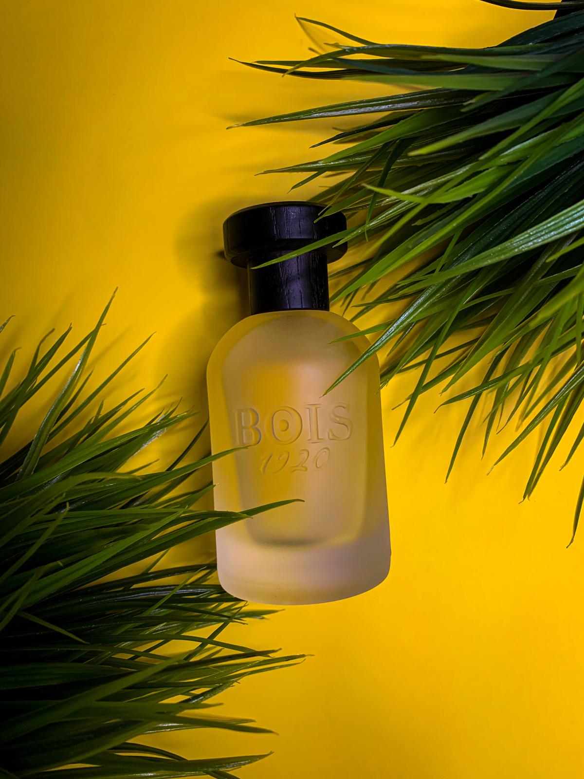 تصویر عطر کلاسیک پارادایس بویز ۱۹۲۰