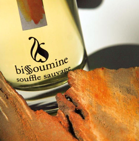 تصویر عطر سوفله ساوج بیسومین