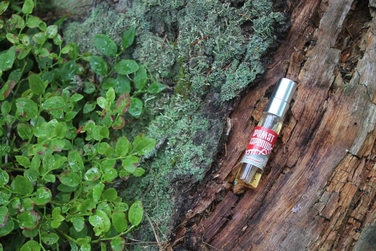 تصویر عطر آروما کارلیا رد