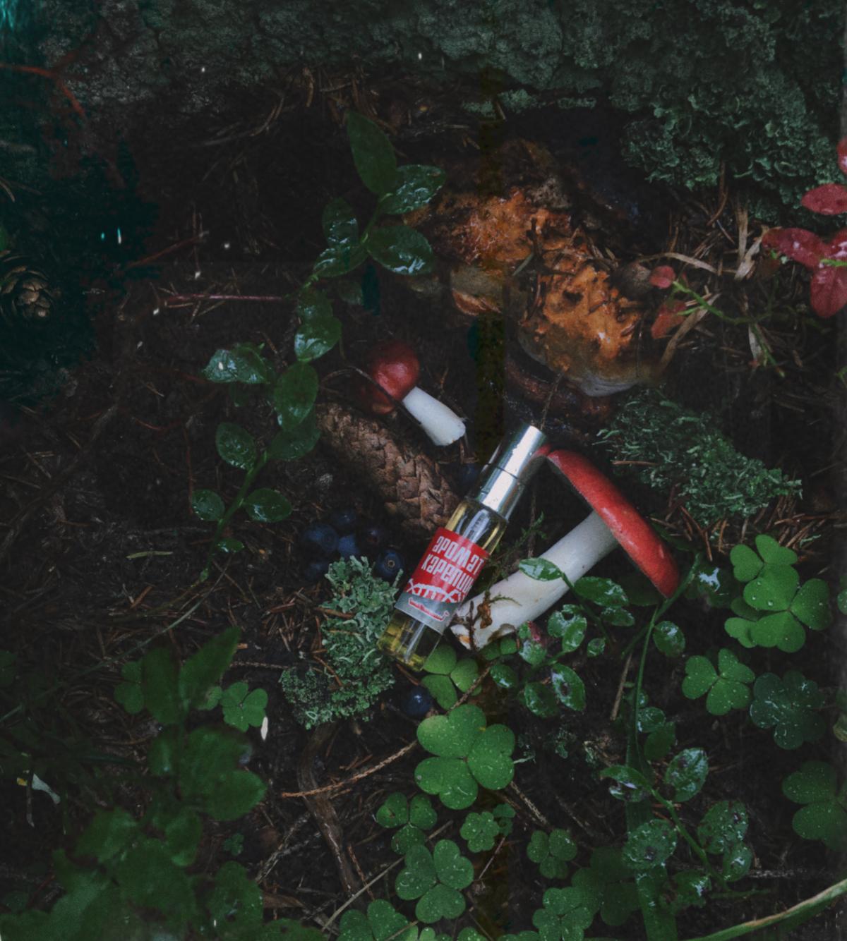 تصویر عطر آروما کارلیا رد