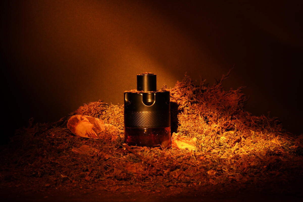 تصویر عطر د موست وانتد پارفوم آزارو