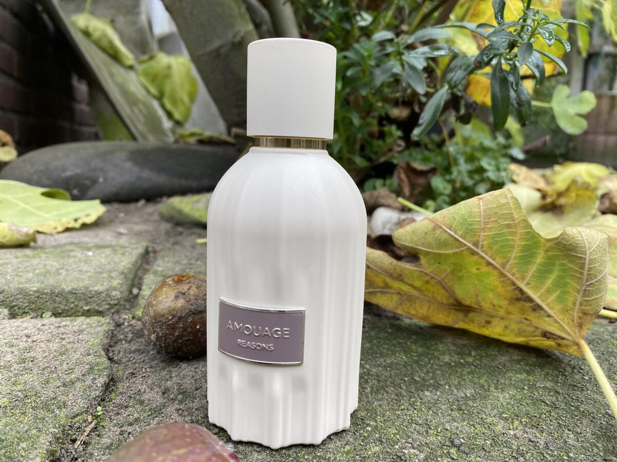 تصویر عطر ریزِنز آمواژ