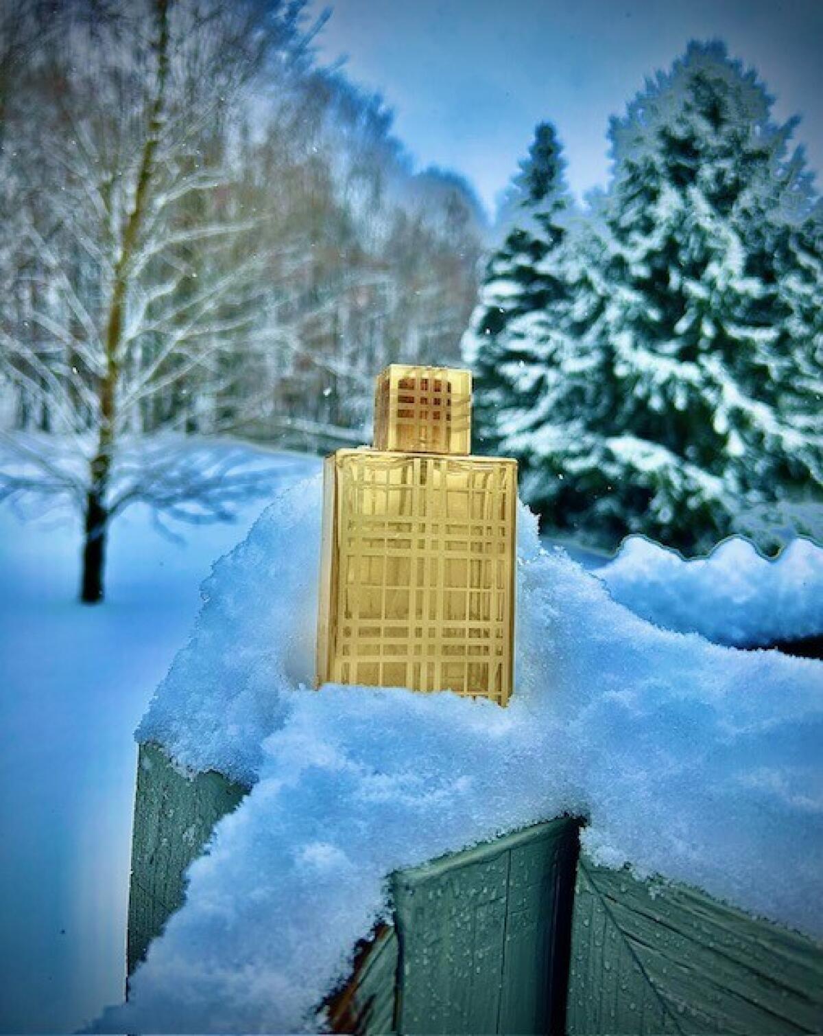 تصویر عطر بربری بریت رد