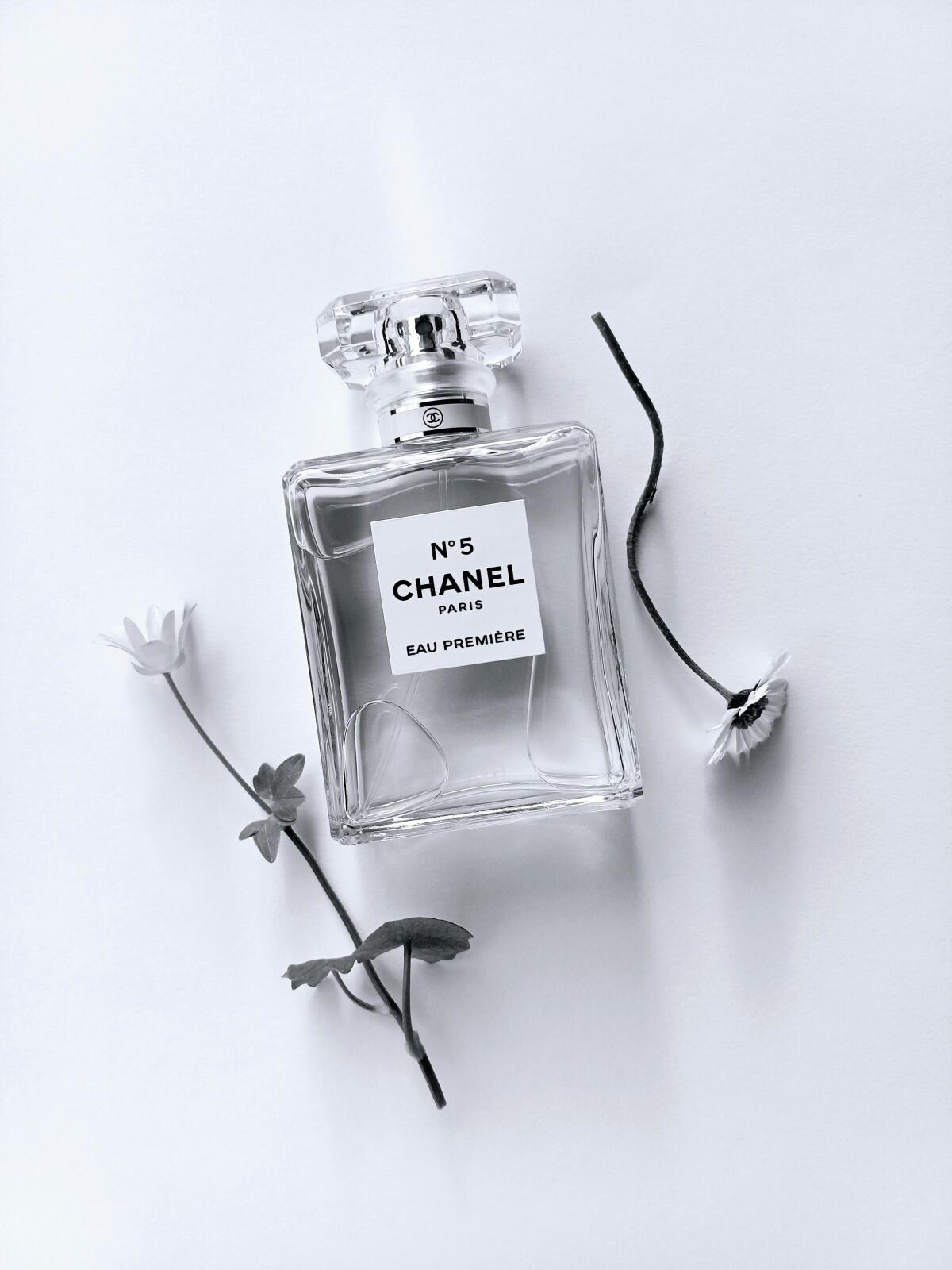 تصویر عطر شنل نامبر فایو او پرمیر