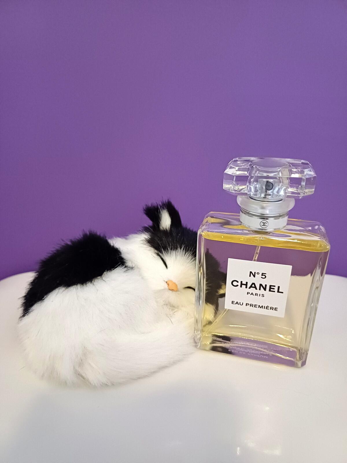 تصویر عطر شنل نامبر فایو او پرمیر