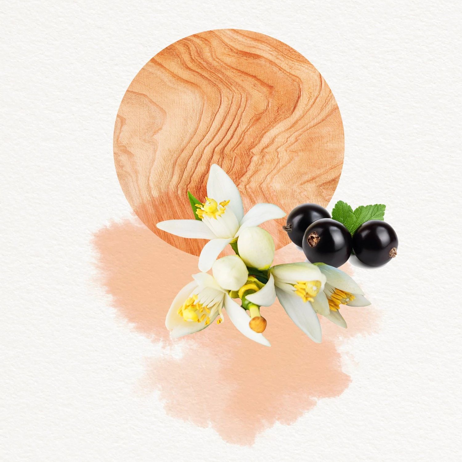 تصویر عطر دوژو فور هر آنایاکه