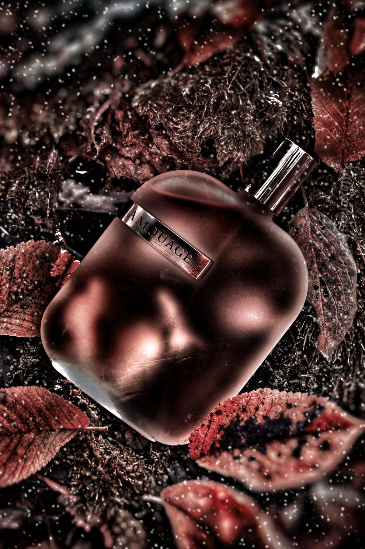 تصویر عطر ذا لایبرری کالکشن اپوس فور آمواژ