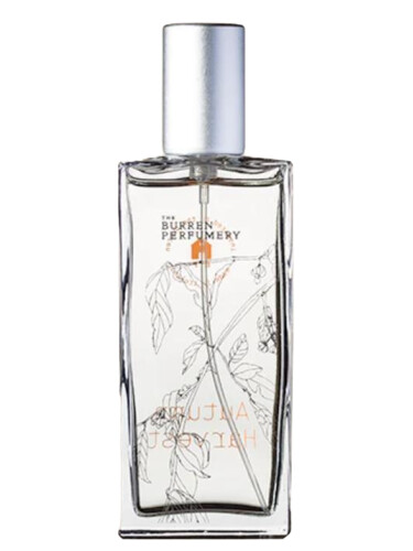 تصویر عطر آتام هارویست بورن پرفیومری