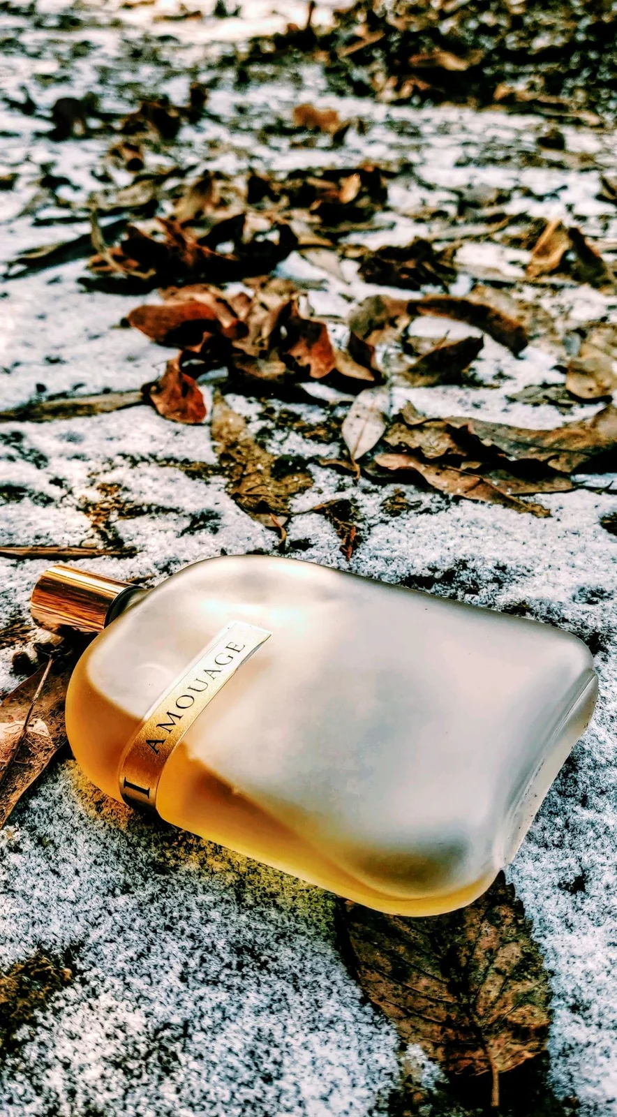 تصویر عطر دی لایبرری کالکشن اوپوس تو آمواژ