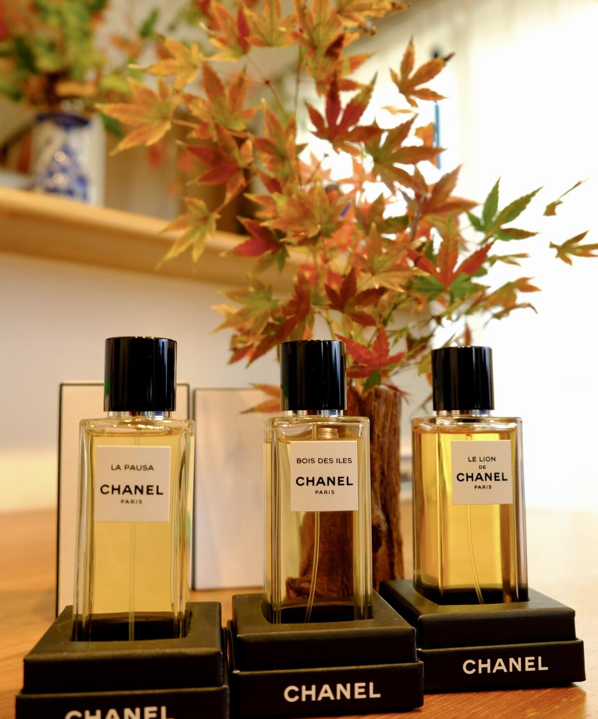 تصویر عطر بوا دز ایل او دو پارفوم شنل
