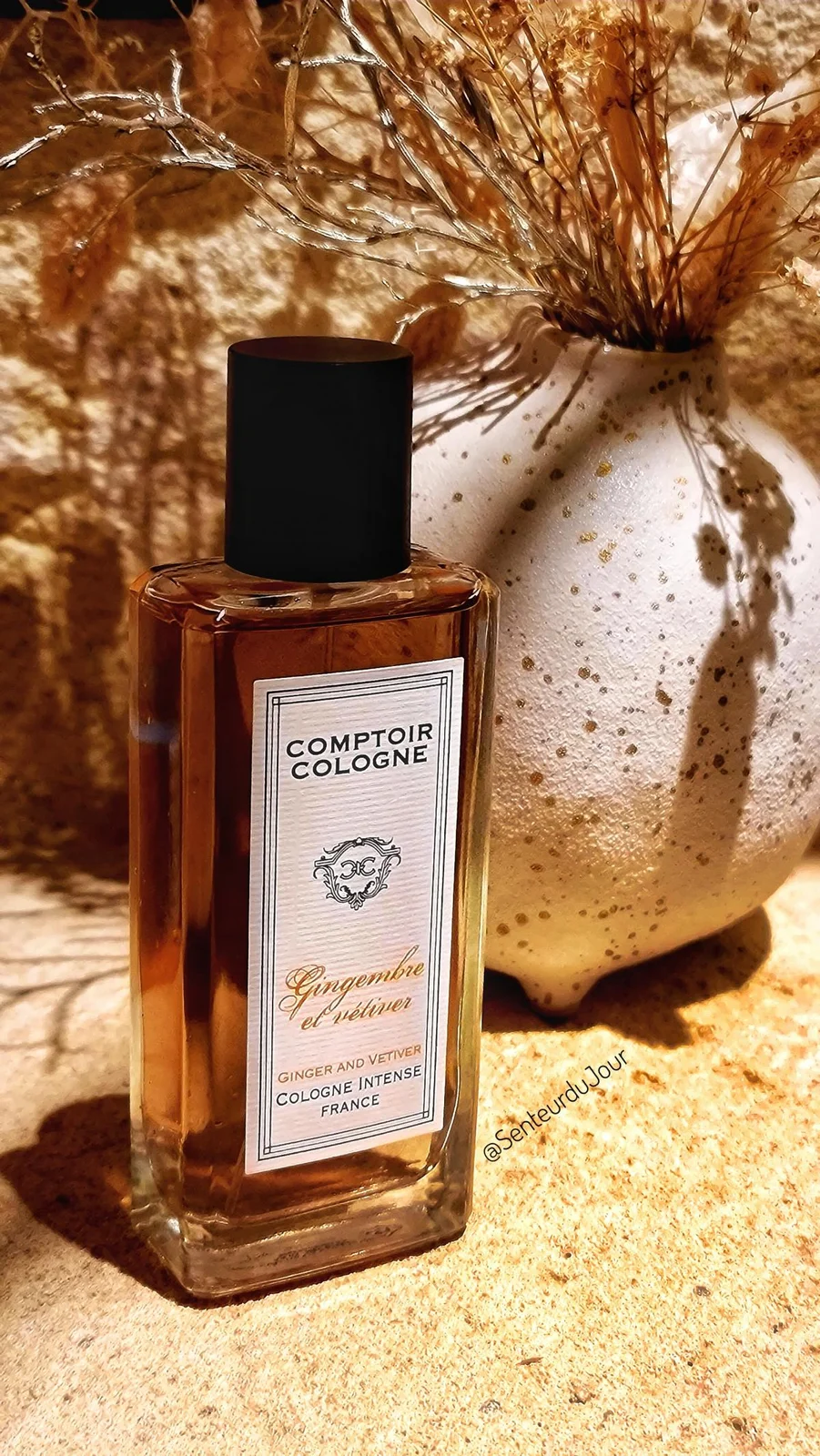 تصویر عطر ژینژامبر اِت وِتیوِر کنتوار کلون