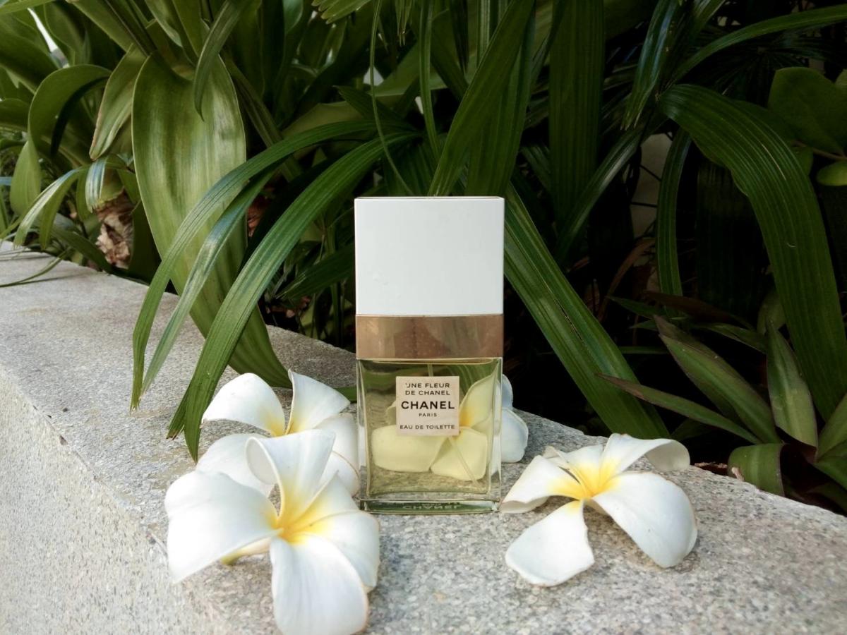 تصویر عطر اون فلر دو شانل شنل