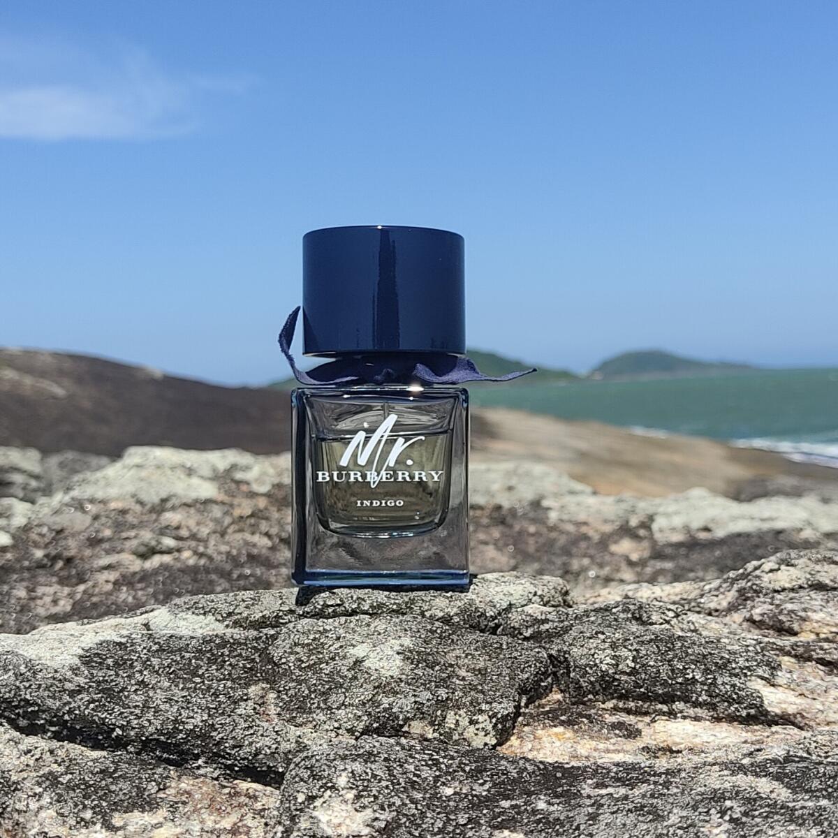تصویر عطر مستر بربری ایندیگو