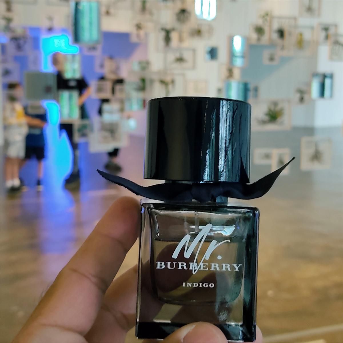 تصویر عطر مستر بربری ایندیگو