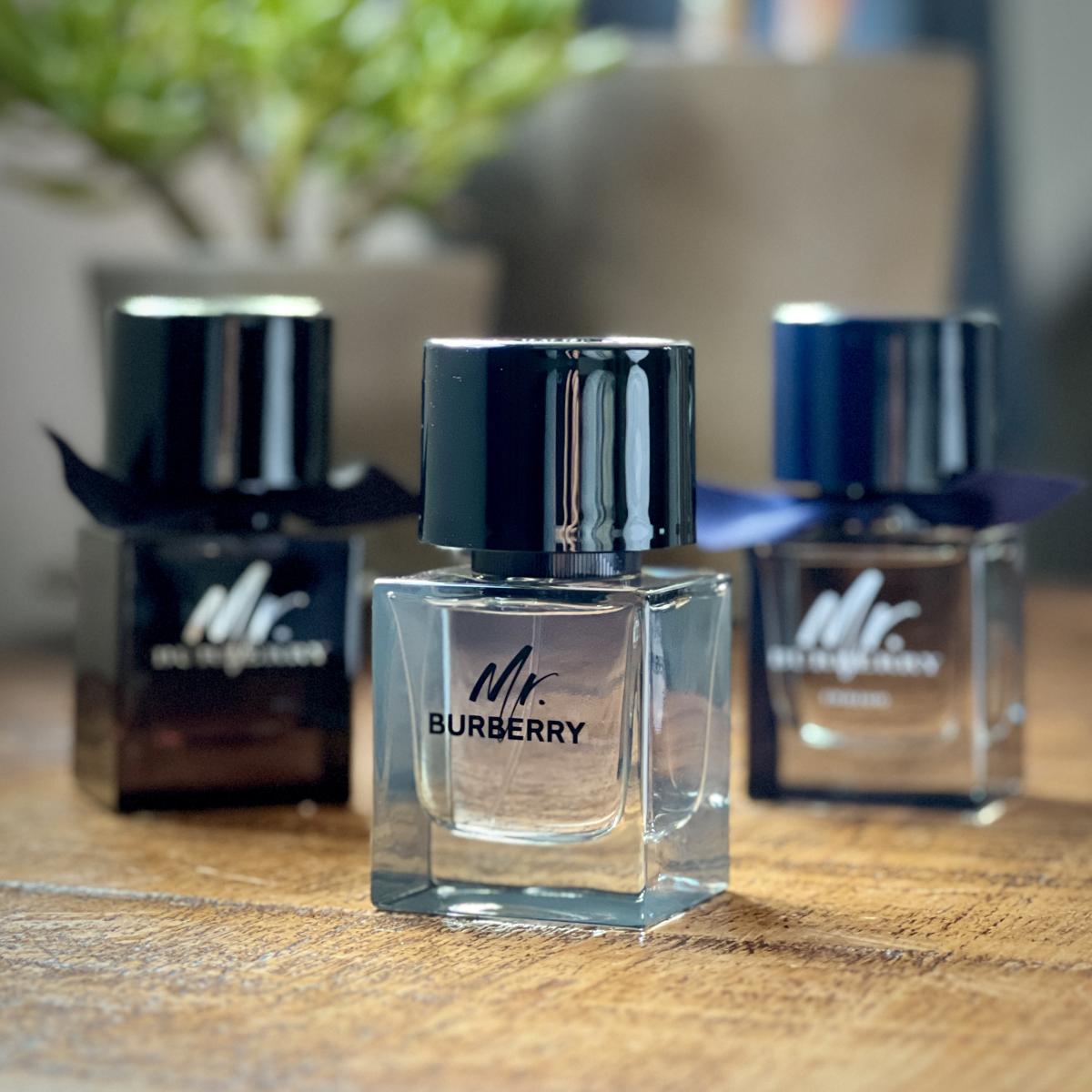 تصویر عطر مستر بربری ایندیگو