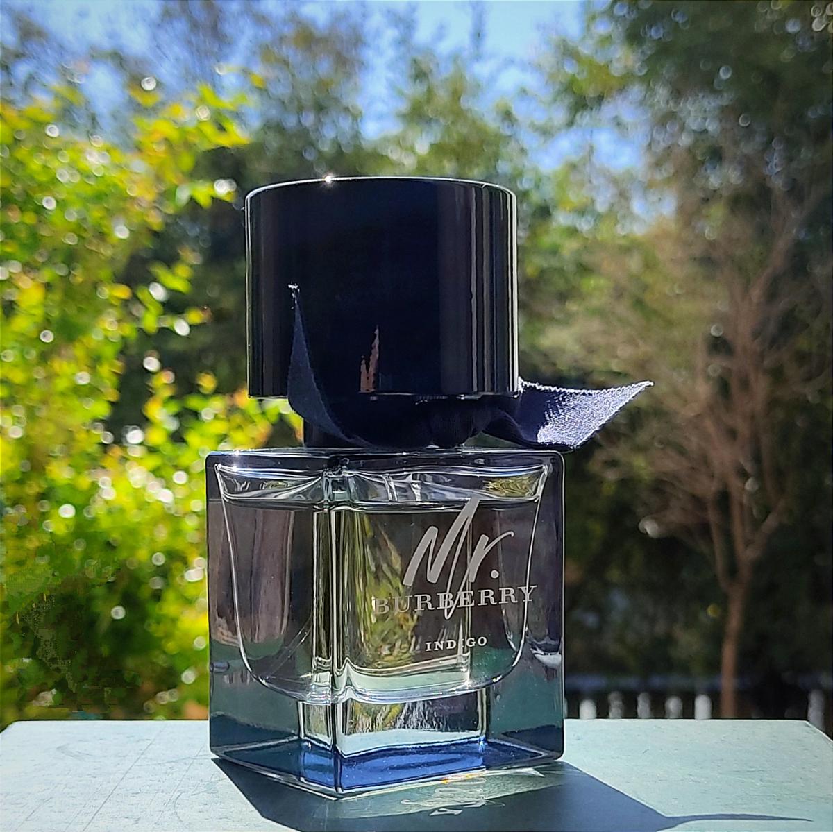 تصویر عطر مستر بربری ایندیگو