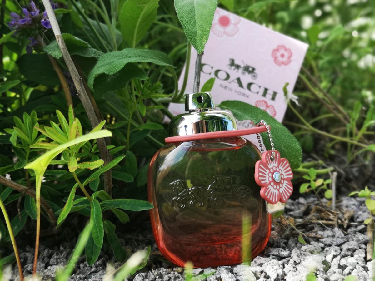 تصویر عطر کوچ فلورال بلش