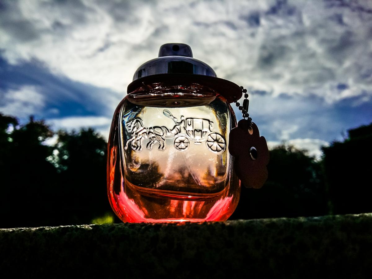 تصویر عطر کوچ فلورال بلش