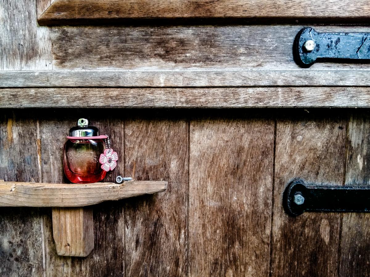 تصویر عطر کوچ فلورال بلش