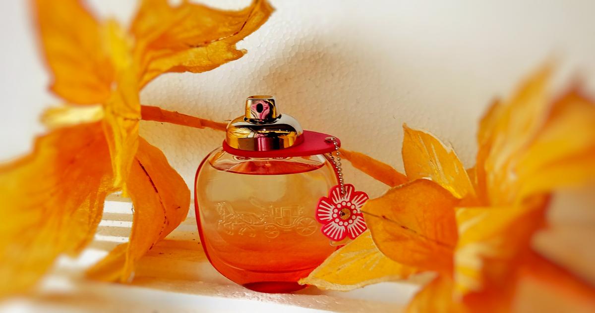 تصویر عطر کوچ فلورال بلش