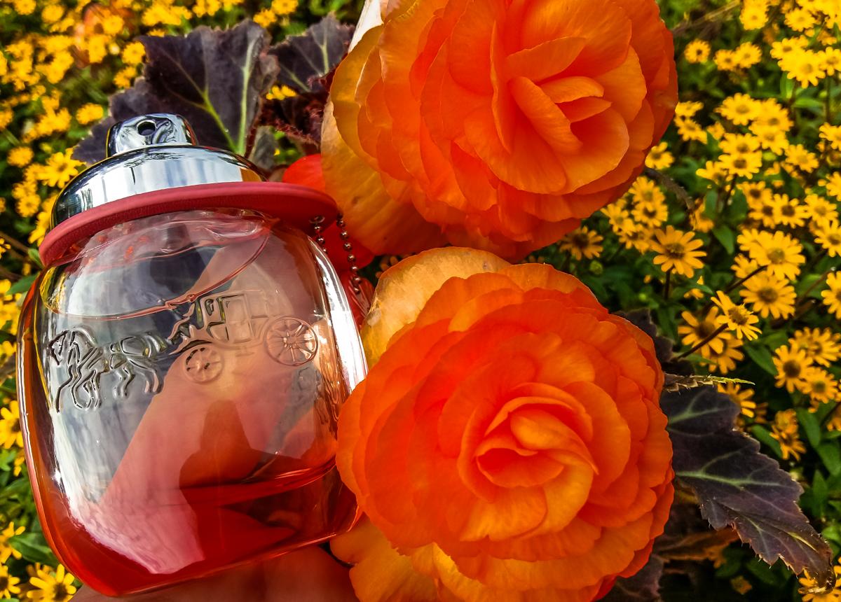 تصویر عطر کوچ فلورال بلش