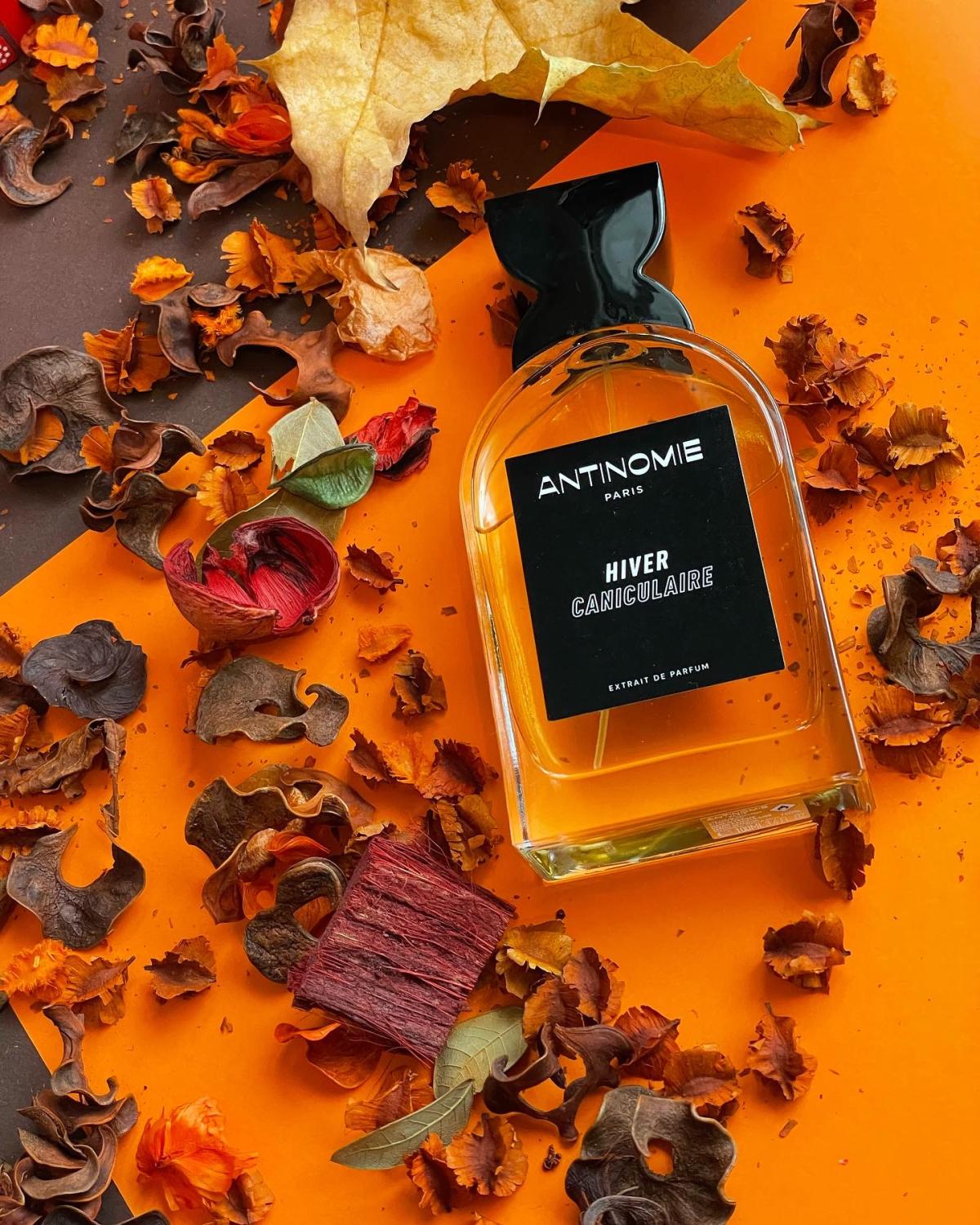 تصویر عطر هیور کانیکولر آنتینومی